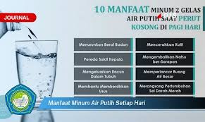 Minum air putih sangat baik saat Anda haus sehingga harus dibuktikan secara ilmiah